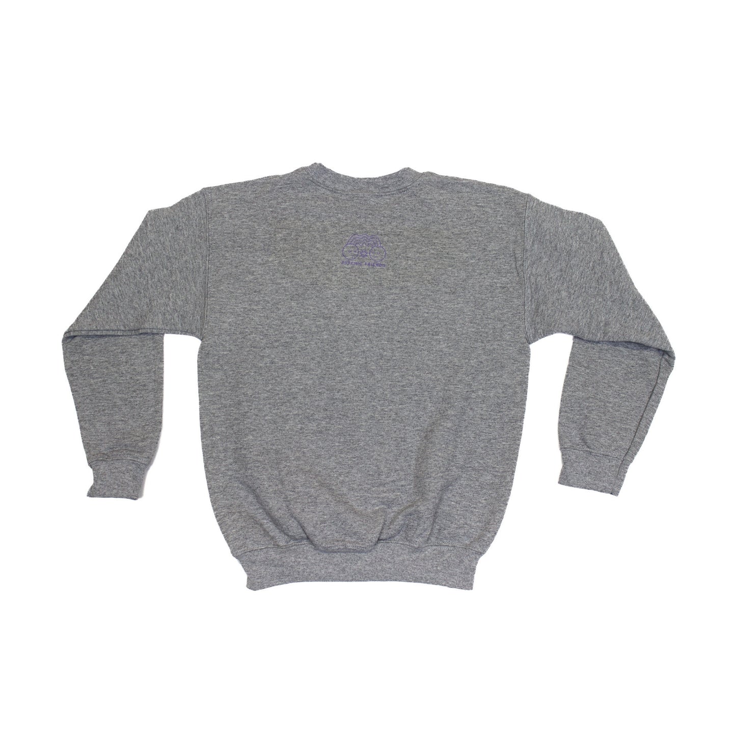 Alphapop Youth Crewneck